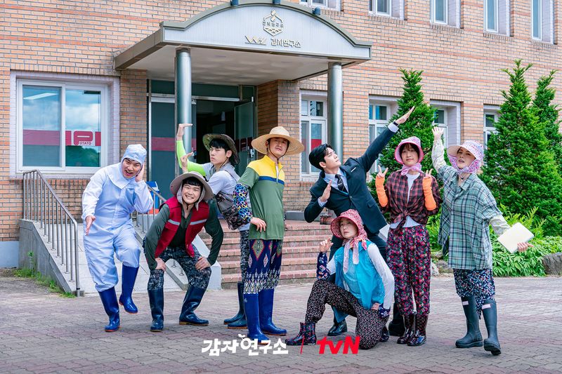 Drama Korea The Potato Lab Drama Korea The Potato Lab