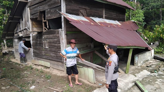 Gubuk rumah warga di Kabupaten Tanggamus, Provinsi Lampung dirusak gajah.