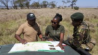 Petugas meninjau peta selama penghitungan satwa liar tahunan di Lewa Wildlife Conservancy, Kenya Utara, Kamis (27/2/2025).