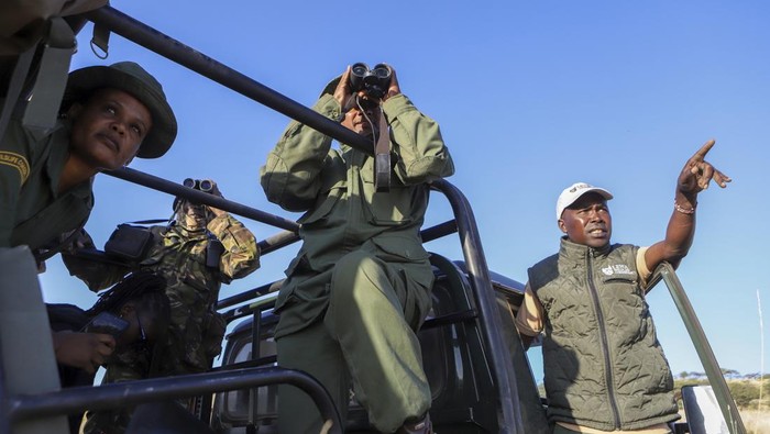 Hari Margasatwa Sedunia, Ruang Satwa Liar di Afrika Timur Menyusut Sejumlah negara memperingati Hari Margasatwa Sedunia. Namun, ruang satwa liar di negara Afrika timur kini menyusut.