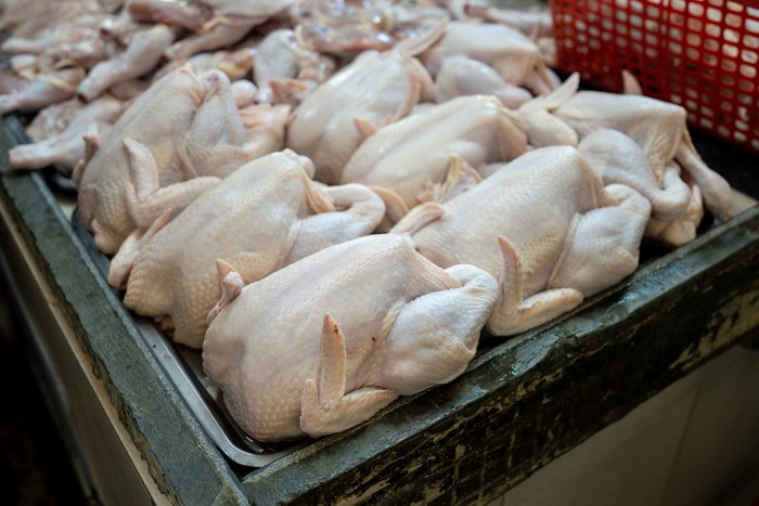 Ilustrasi daging ayam Ilustrasi daging ayam