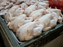 Pemerintah Sebut Pasokan Daging Ayam Aman Hingga Lebaran
