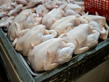Harga Ayam di Palembang Rp 36 Ribu/Kg dan Telur Rp 26 Ribu