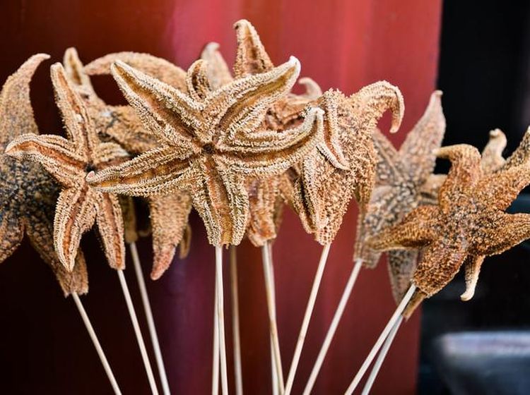 Ngeri Sedap! 10 Makanan Ekstrem Asia yang Populer di Dunia