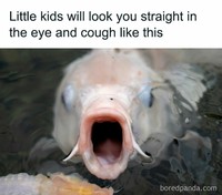 Kumpulan meme random ini cocok buat nemenin ngabuburit. Memenya memang aneh dan absurd, check it out.