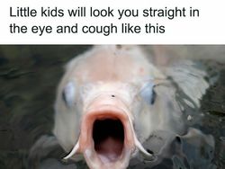 Meme Random buat Nemenin Ngabuburit, Lumayan Absurd