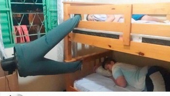 Sama-sama kebagian kipas, deh. Foto: Ayy Vlog via Bored Panda  