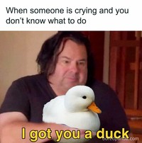 Kumpulan meme random ini cocok buat nemenin ngabuburit. Memenya memang aneh dan absurd, check it out.