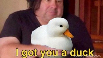 Bebek kan cute. Foto: Hedda Evensen via Bored Panda  