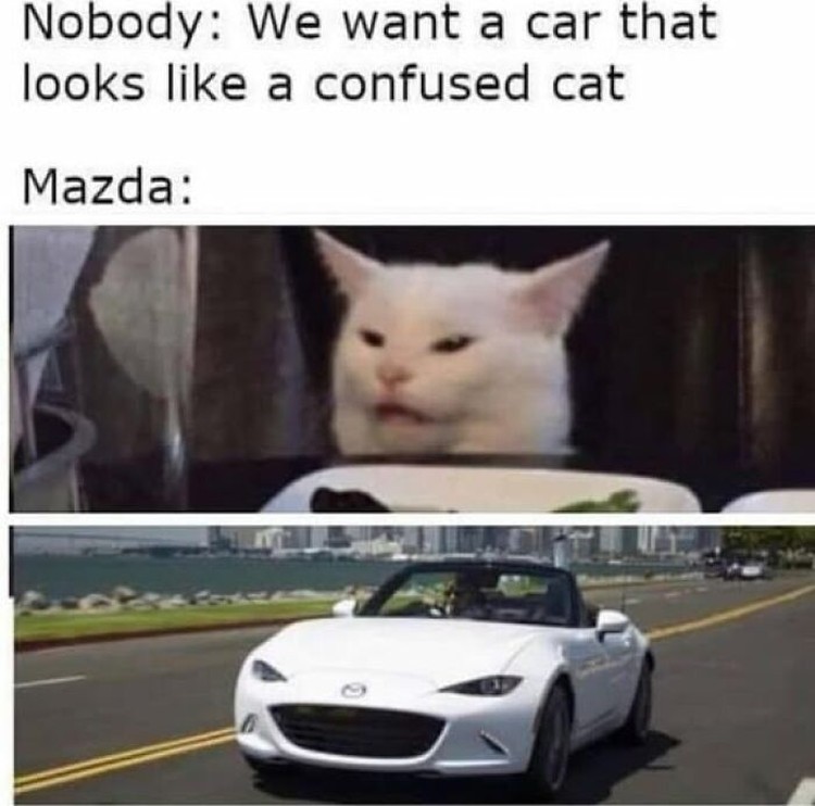 Kumpulan meme random ini cocok buat nemenin ngabuburit. Memenya memang aneh dan absurd, check it out.