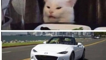 Got it! Foto: Xandria Elizabeth via Bored Panda  