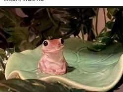 Meme Random buat Nemenin Ngabuburit, Lumayan Absurd