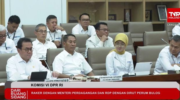 Mendag Budi Santoso saat Raker bersama Komisi VI DPR RI dan Dirut Perum Bulog, Senin (3/3/2025). (Tangkapan Layar Youtube DPR RI)