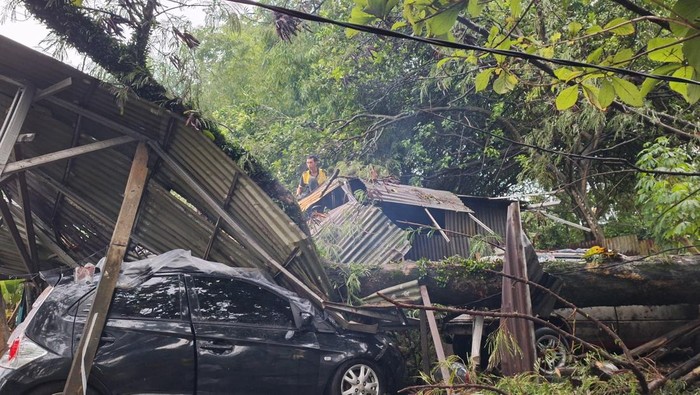 Mobil hingga rumah tertimpa pohon di Bogor