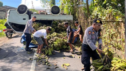 Mobil pikap berpelat N 8184 YA yang mengangkut pisang terguling di jalan yang menghubungkan Desa Kaba-Kaba dengan Desa Cepaka, Kecamatan Kediri, Tabanan, Bali, Senin (3/3/2025). (Foto: Dok. Polsek Kediri)