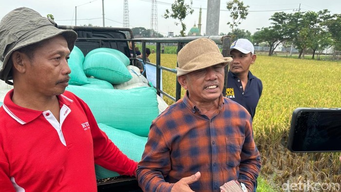 Petani yang gabahnya dibeli oleh Menko Zulhas di Demi Indonesia Mandiri Pangan.