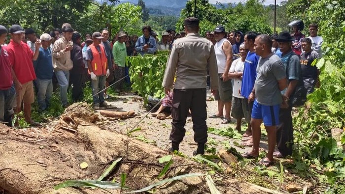 Polisi mendatangi TKP remaja dan neneknya tewas tertimpa pohon tumbang di Sigi, Sulteng.