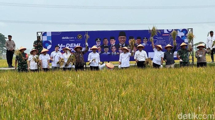 Potret Menko Zulhas Panen Raya Demi Indonesia Mandiri Pangan