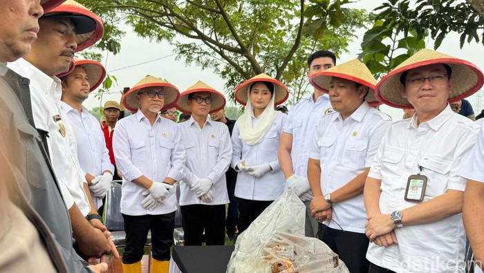 Potret Menko Zulhas Panen Raya Demi Indonesia Mandiri Pangan Potret Menko Zulhas Panen Raya Demi Indonesia Mandiri Pangan