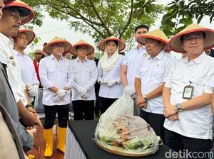 Zulhas Tegaskan Pemerintah Tak Akan Impor Beras Tahun Ini