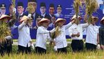 Potret Menko Zulhas Panen Raya #DemiIndonesia Mandiri Pangan