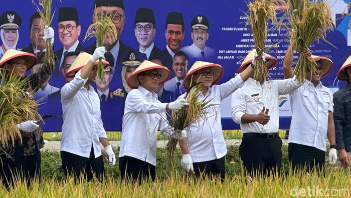Potret Menko Zulhas Panen Raya Demi Indonesia Mandiri Pangan