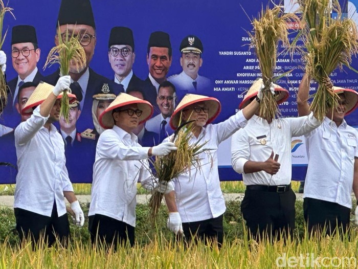 Potret Menko Zulhas Panen Raya Demi Indonesia Mandiri Pangan
