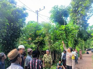 Pria Sumenep Teriak Takbir Sebelum Tewas Tersetrum di Atas Pohon