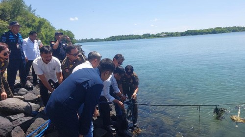 Satpol PP Bali bersama dinas terkait membongkar pelampung yang memagari laut di perairan Pulau Serangan, Denpasar, Senin (3/3/2025). (Foto: Dok. Istimewa)