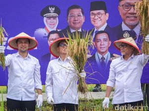 Wagub Jatim Emil Optimistis Swasembada Pangan Nasional Akan Tercapai