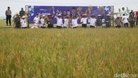 Selain itu, Kepala Badan Pangan Nasional Arief Prasetyo Hadi, Wakil Gubernur Jawa Timur Emil Elestianto Dardak, dan Bupati Ngawi Ony Anwar Harsono juga turut serta dalam acara tersebut. Anggota DPR RI Verrel Bramasta dan beberapa pejabat lainnya pun hadir untuk mendukung gerakan ketahanan pangan ini.