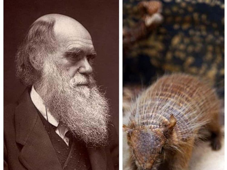 10 Makanan Favorit Tokoh Dunia, Semur Domba hingga Sup Kura-Kura