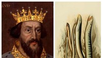 Raja Henry 1 yang memerintah Inggris sejak tahun 1100 sampai 1135 menyukai hidangan ikan lamprey. Ikan ini mirip seperti belut dan tak berahang. Foto: ranker.com
