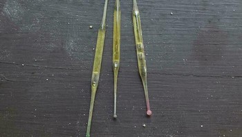 Menemukan benda ini di bagian tersembunyi kamar mandi dan ada dua benda berukuran dua inch ini. Kemungkinan ini ampul parfum zaman dulu atau biasa disebut perfume nips. Foto: joesepa1805 via Bored Panda  