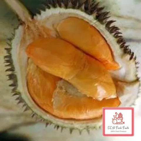 7 Jenis Durian Malaysia yang Juara Enaknya, Selain Musang King