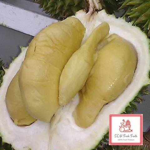 7 Jenis Durian Malaysia yang Juara Enaknya, Selain Musang King