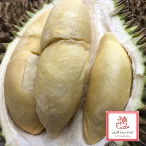 7 Jenis Durian Malaysia yang Juara Enaknya, Selain Musang King