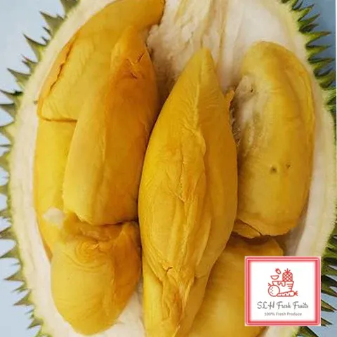 7 Jenis Durian Malaysia yang Juara Enaknya, Selain Musang King