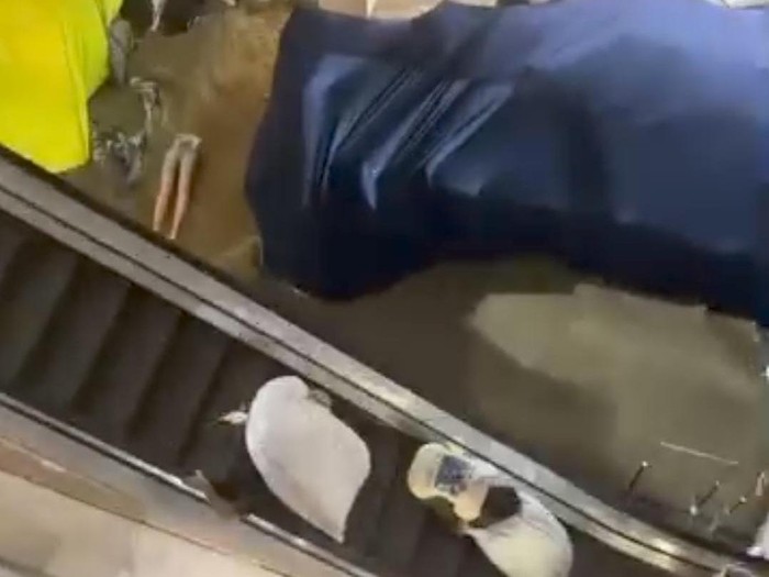 Banjir di Mega Bekasi Hypermall