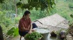 Dianxi Xiaoge, YouTuber yang Bikin Konten Memasak Latar Pedesaan