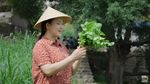 Dianxi Xiaoge, YouTuber yang Bikin Konten Memasak Latar Pedesaan