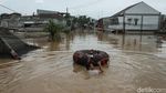 Kondisi Terkini Banjir di PGP Bekasi, Warga Menunggu Dievakuasi