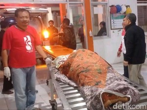 Wanita di Tegal Tewas Dibunuh Sepupu Sendiri, Leher Disabet Golok
