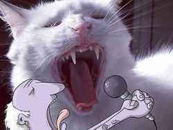 Kreatif! Ketika Fotografi Dipadukan dengan Animasi