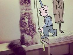 Kreatif! Ketika Fotografi Dipadukan dengan Animasi