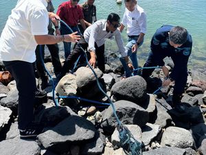 Penjelasan BTID soal Pembongkaran Pagar Laut di Pulau Serangan