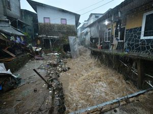 Walhi: Alih Fungsi Lahan di Puncak Bogor Sudah Terjadi Bertahun-Tahun
