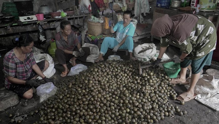 Produksi kolang-kaling saat Ramadhan Pekerja mengupas buah kolang-kaling (Arenga pinnata) yang telah direbus di Desa Kalisari, Bejen, Temanggung, Jawa Tengah, Selasa (4/3/2025). Menurut pengolah kolang-kaling saat bulan Ramadhan pesanannya meningkat hingga empat kali lipat dibanding bulan lain dari 1 kuintal per hari menjadi 4 kuintal per hari dan harganya juga naik dari Rp10.000 per kilogram menjadi Rp12.000 per kilogram. ANTARA FOTO/Anis Efizudin/tom.