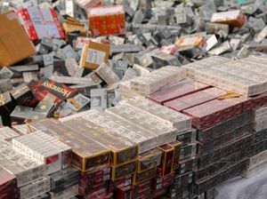 Dalam Dua Bulan 182,74 Juta Batang Rokok Ilegal Dimusnahkan