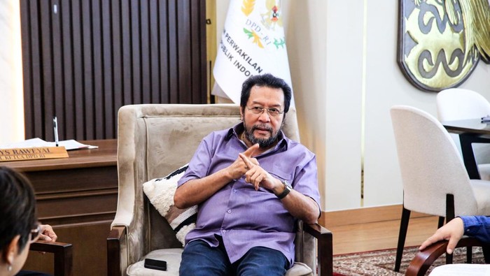 Wakil Ketua DPD RI Yorrys Raweyai (dok Istimewa)